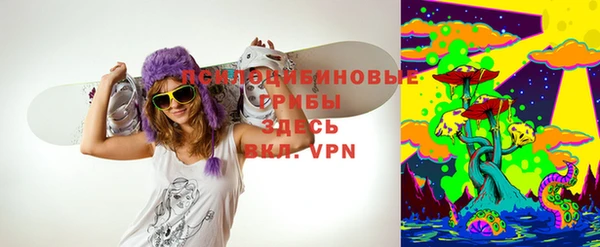 эйфоретик Алзамай