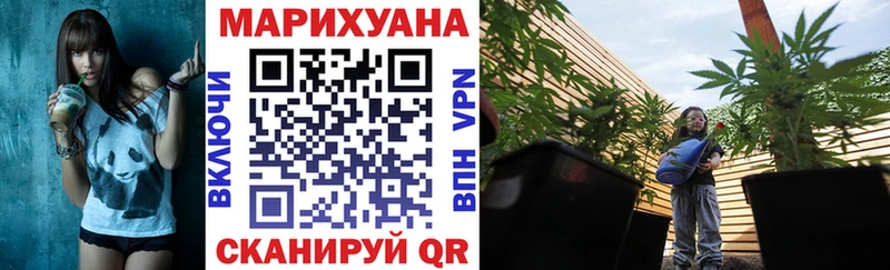 Бошки марихуана план Талица